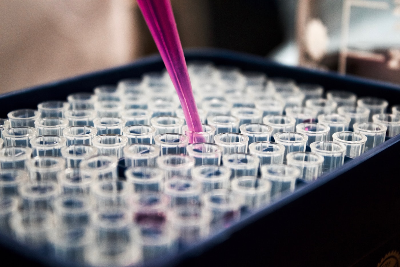 Forensic Science Foundation Program